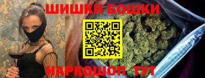 дмт Обь