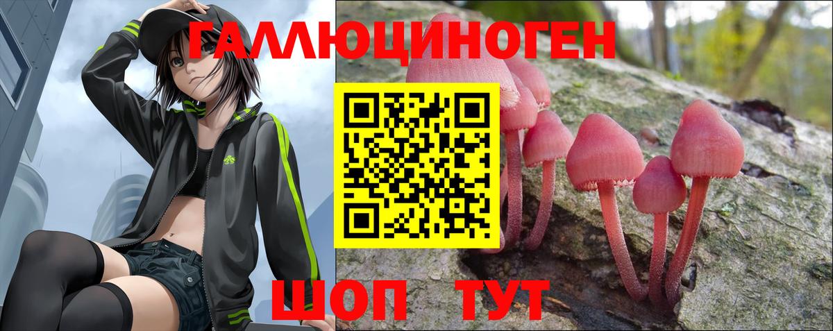 Псилоцибиновые грибы ЛСД  Вход с VPN  хочу наркоту  Советская Гавань 